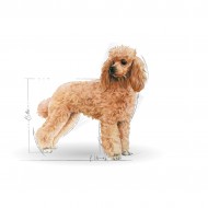 Hrana uscata pentru caini, Royal Canin, Poodle, 1.5Kg