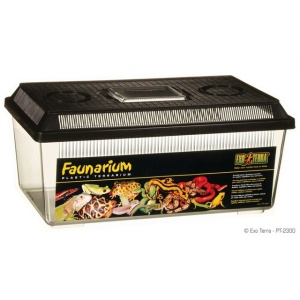 Terariu plastic, Exo Terra Faunarium Flat Medium, PT 2300