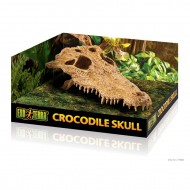 Decor terariu, Exo Terra Crocodile Skull PT2856