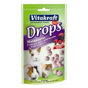 Drops pentru rozatoare, Vitakraft Fructe de Padure 75 G