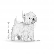 Hrana uscata pentru caini, Royal Canin, Westie Adult, 1.5Kg