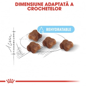 Hrana uscata pentru pisici, Royal Canin, Babycat34, 4 Kg