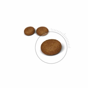 Royal Canin Hair Skin Care