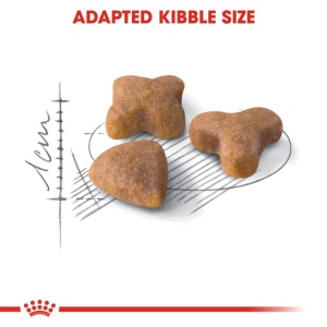 Sensible, 10 Kg