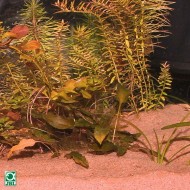 Substrat pentru acvariu, JBL Sansibar RED 10kg