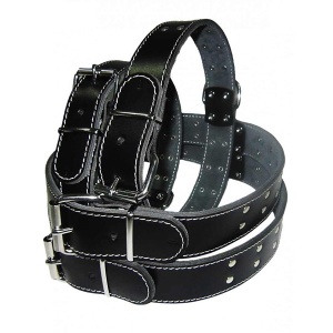 Zgarda pentru caine, Pet Expert, Capse, 3 x 62CM, Negru, NR.7