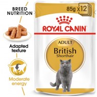 Hrana umeda pentru pisici, Royal Canin, British Shorthair Pouch, 85 g