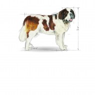 Royal Canin Giant Adult