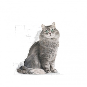 Hrana uscata pentru pisici, Royal Canin, Sensible, 10 Kg