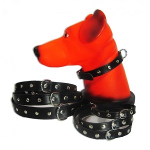 Zgarda pentru caine, Pet Expert, Capse, 2.5 x 55 CM, Negru, NR.6