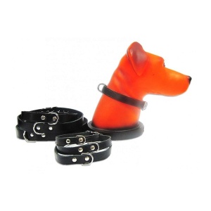 Zgarda pentru caine, Pet Expert, Clasic, 1.2 x 33 CM, Negru, NR.1