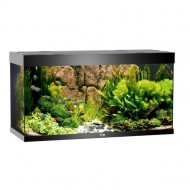 Acvariu, Juwel, Rio 350 LED, Negru