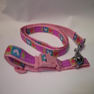 Zgarda pentru caine, Pet Expert, 1.5 x 120 CM, Lesa, 1037A
