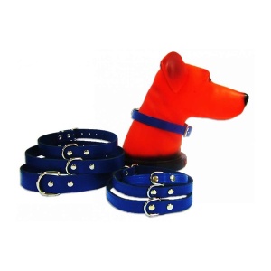 Zgarda pentru caine, Pet Expert, Clasic, 1.2 x 33 CM, Albastru, NR.1
