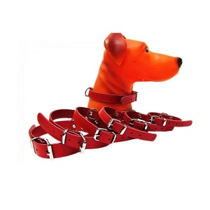 Zgarda pentru caine, Pet Expert, Clasic, 1.2 x 33 CM, Rosu, NR.1