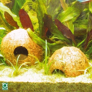 Decor pentru terariu, JBL, Cocos Cava 1/1 M