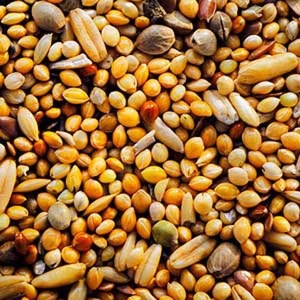 Hrana pentru pasari, Garvo, Meniu Perusi Extra, 20 KG, 3828