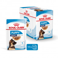 Royal Canin Maxi Puppy, Box 10 x 140 G
