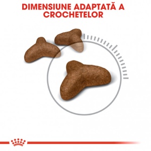 Royal Canin Light Weight