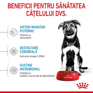 Hrana uscata pentru caini, Royal Canin, Maxi Puppy, 15 Kg