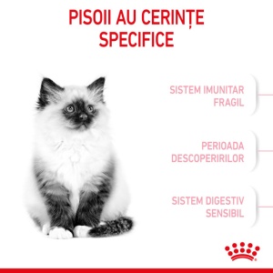 Hrana uscata pentru pisici, Royal Canin Kitten, 2 Kg
