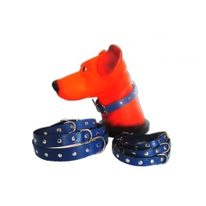 Zgarda pentru caine, Pet Expert, Capse, 1 x 27 CM, Albastru, NR.0