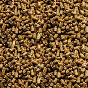 Hrana pentru pasari, Garvo, Gaini Reproducere, Fancy Young Hens Pellets, 20 KG, 714