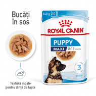 Hrana umeda pentru caini, Royal Canin Maxi Puppy, Box 10 x 140 G