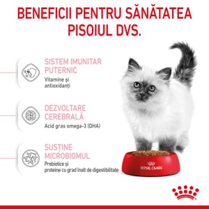 Hrana uscata pentru pisici, Royal Canin Kitten, 2 Kg