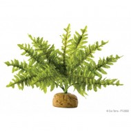 Plante terariu, Exo Terra, Rainforest Plant Boston Fern Medium, PT2995