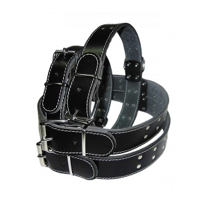 Zgarda pentru caine, Pet Expert, Capse, 4 x 78 CM, Negru, NR.9