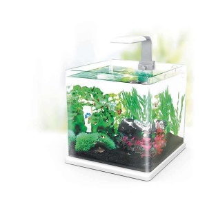 Acvariu, Hailea, Q-40, Alb, 40 L