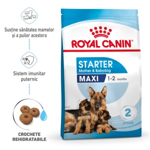 Royal Canin Maxi Starter