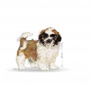 Hrana uscata pentru caini, Royal Canin, Shih Tzu Puppy, 1.5 Kg