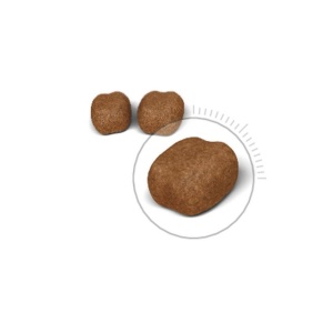 Royal Canin Oral Care