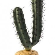 Plante terariu, Exo Terra, Desert Plant Finger Cactus
