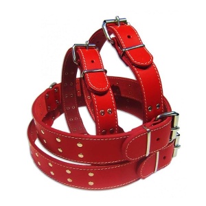 Zgarda pentru caine, Pet Expert, Capse, 3 x 62CM, Rosu, NR.7