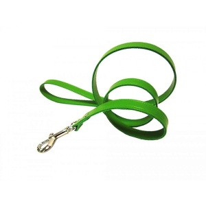 Lesa pentru caine, Pet Expert, Clasic, 1 x 110 CM, Verde, NR.1