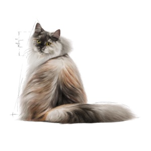 Royal Canin Hair Skin