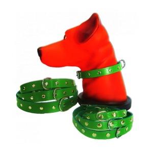 Zgarda pentru caine, Pet Expert, Capse, 1.61 x 41 CM, Verde, NR.3