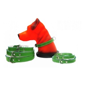 Zgarda pentru caine, Pet Expert, Pasla, 1.8 x 45 CM, Verde, NR.4