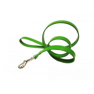 Lesa pentru caine, Pet Expert, Clasic, 1.2 x 110 CM, Verde, NR.2