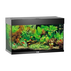 Acvariu, Juwel, Rio 125 LED, Negru