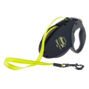 Lesa retractabila pentru caine, Flexi, Neon Giant Tape L, 8 m