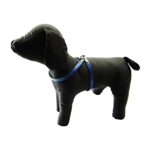Ham pentru caine, Pet Expert, Clasic, Albastru, NR.1