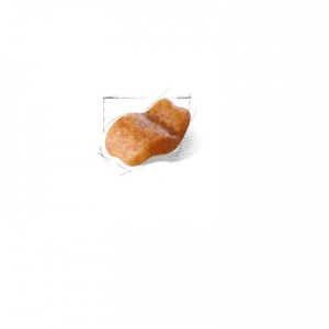 Hrana uscata pentru caini, Royal Canin, Bulldog Adult, 3 Kg