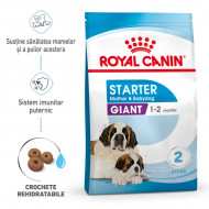 Royal Canin Giant Starter