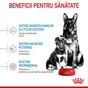 Hrana uscata pentru caini, Royal Canin Maxi Starter MB, 4 Kg