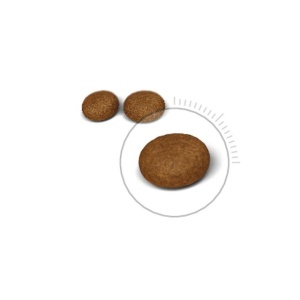 Royal Canin Hair Skin Care