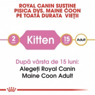 Hrana uscata pentru pisici, Royal Canin, Maine Coon Kitten, 10 Kg
